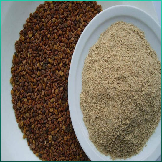 Fenugreek çıxarış