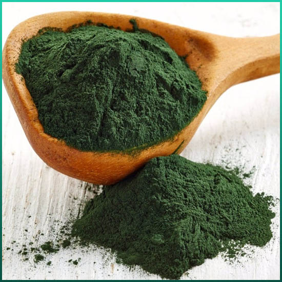 Spirulina çıxarış